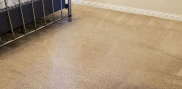Professional Carpet Cleaning 2 Before Professional Carpet Cleaning