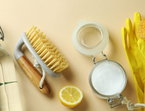 Eco Cleaning Companies: The Benefits of Going Green in the Cleaning Industry