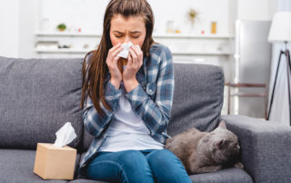 reduce indoor allergens